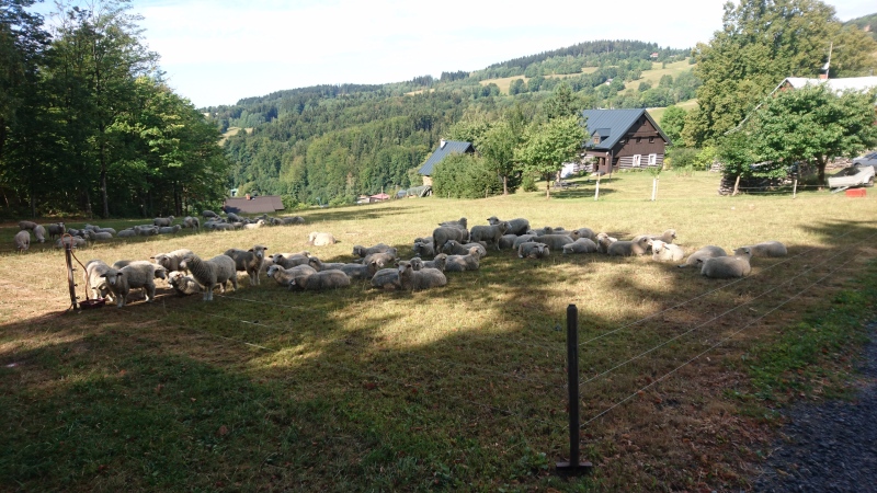 g180811016-Bike music fest, ovce v Pasekach