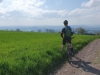 g230506039-Najizdeni-kobylek-s-rodinami-v-Jinolicich