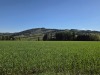 20260501_163035