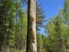 20260502_124644