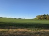 20260502_190115