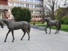 g220429006-Najizdeni-Kobylek-vecer-v-Rakovniku