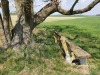 g220430024-Najizdeni-Kobylek-sobota