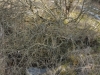 20180325_131727-e1522003914567